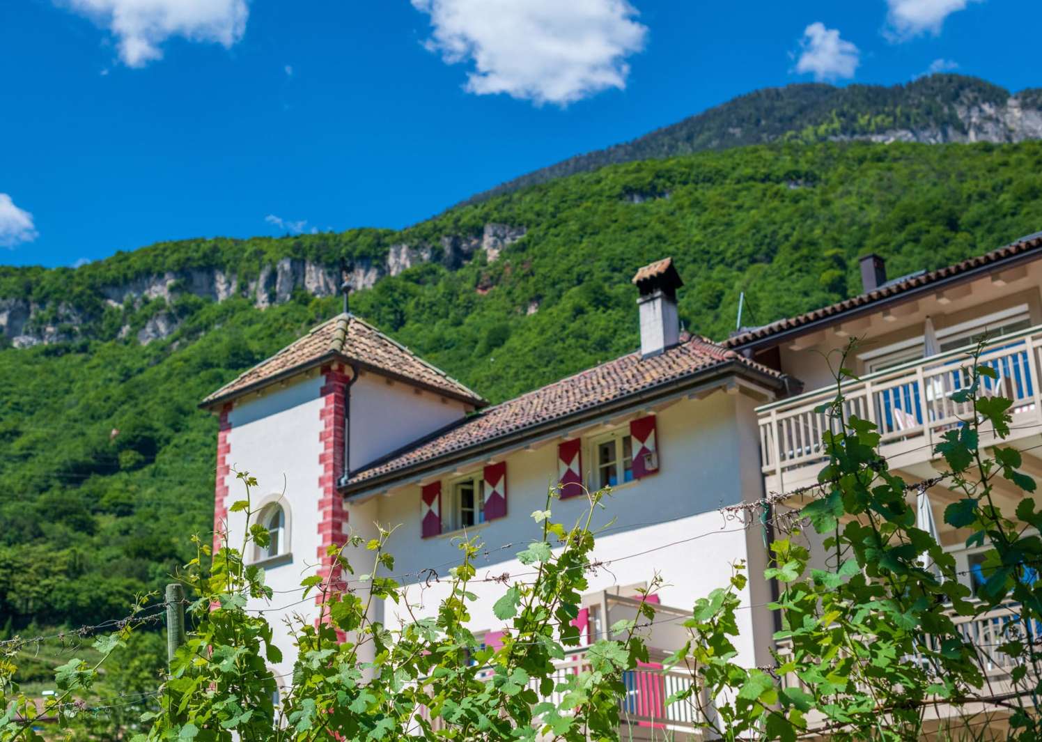 20210530-114216-_8505071